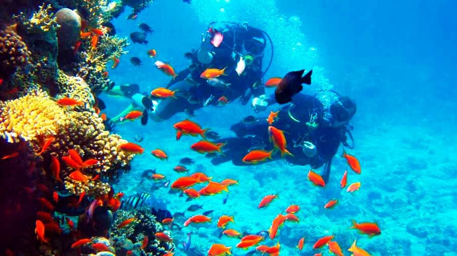 Scuba Diving in Andaman